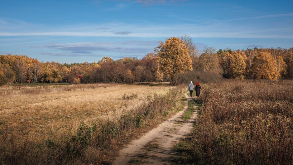 Exploring Local Attractions Near Whiteways